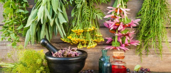 Травы от ВПЧ