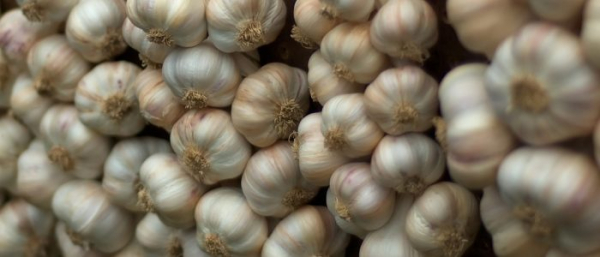 Как удалить папиллому чесноком?