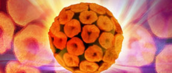 Вирус папилломы человека 68 типа