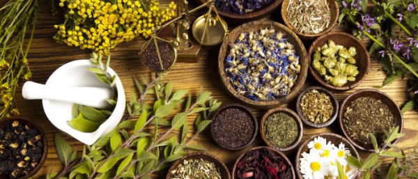 Лечение жировиков народными средствами