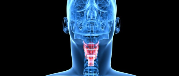 Ангиома гортани