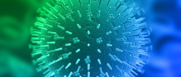 Вирус папилломы человека 59 типа