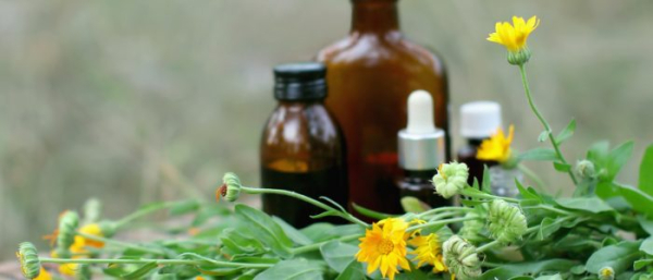 Травы от фибромы