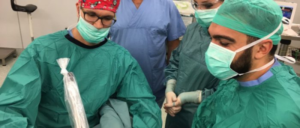 Меланома половых органов