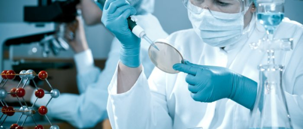 АСД от меланомы