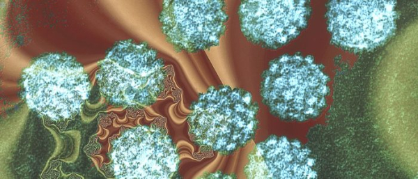 Вирус папилломы человека 58 типа