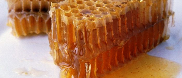 Прополис от папиллом