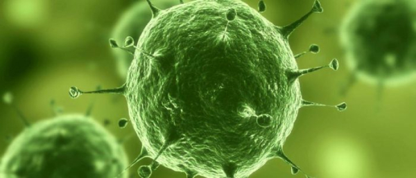 Вирус папилломы человека 56 типа у женщин и мужчин