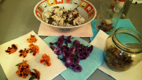 Ксантелазма век