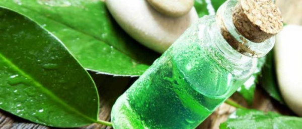 Масло чайного дерева от угревой сыпи