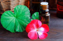 Эфирное масло от прыщей