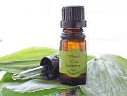 Stopproblem &ndash; маскирующий карандаш