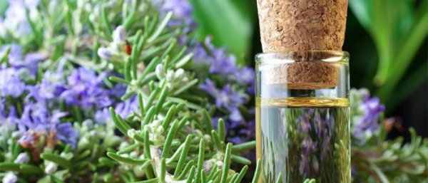 Розмарин против прыщей